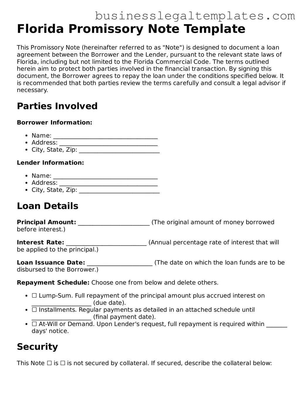 Blank Florida Promissory Note Document